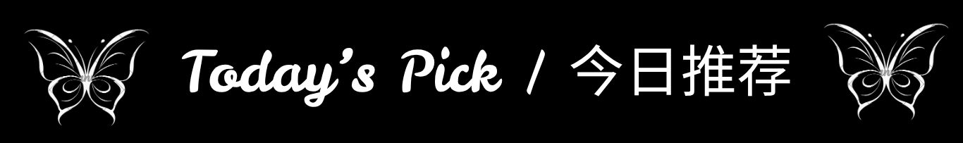 Today's Pick / 今日推荐